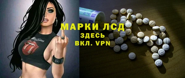 винт Лагань