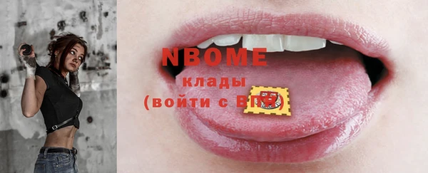 винт Лагань