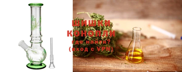 винт Лагань