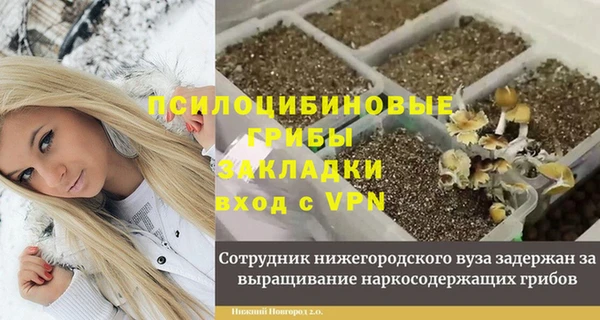 винт Лагань
