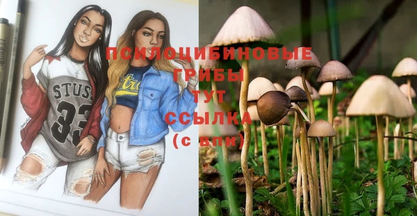 винт Лагань