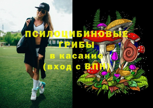 винт Лагань