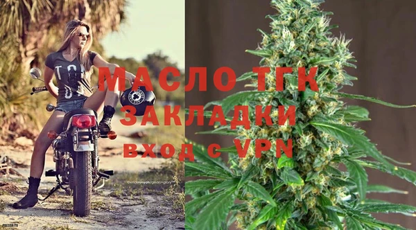 винт Лагань
